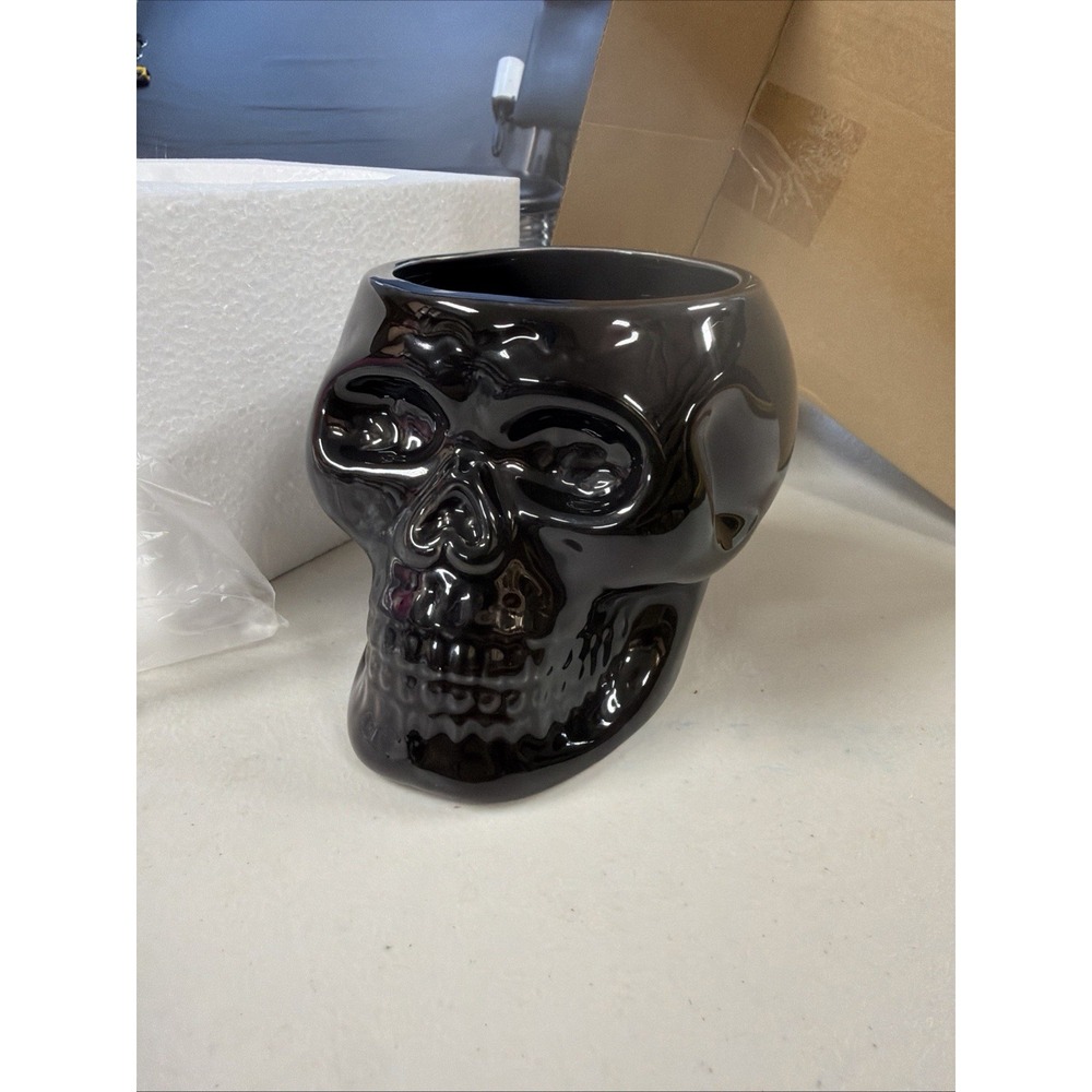 Human Skull Shaped Cactus Succulent Plant Pot Pencil Holder Planter Color Pots